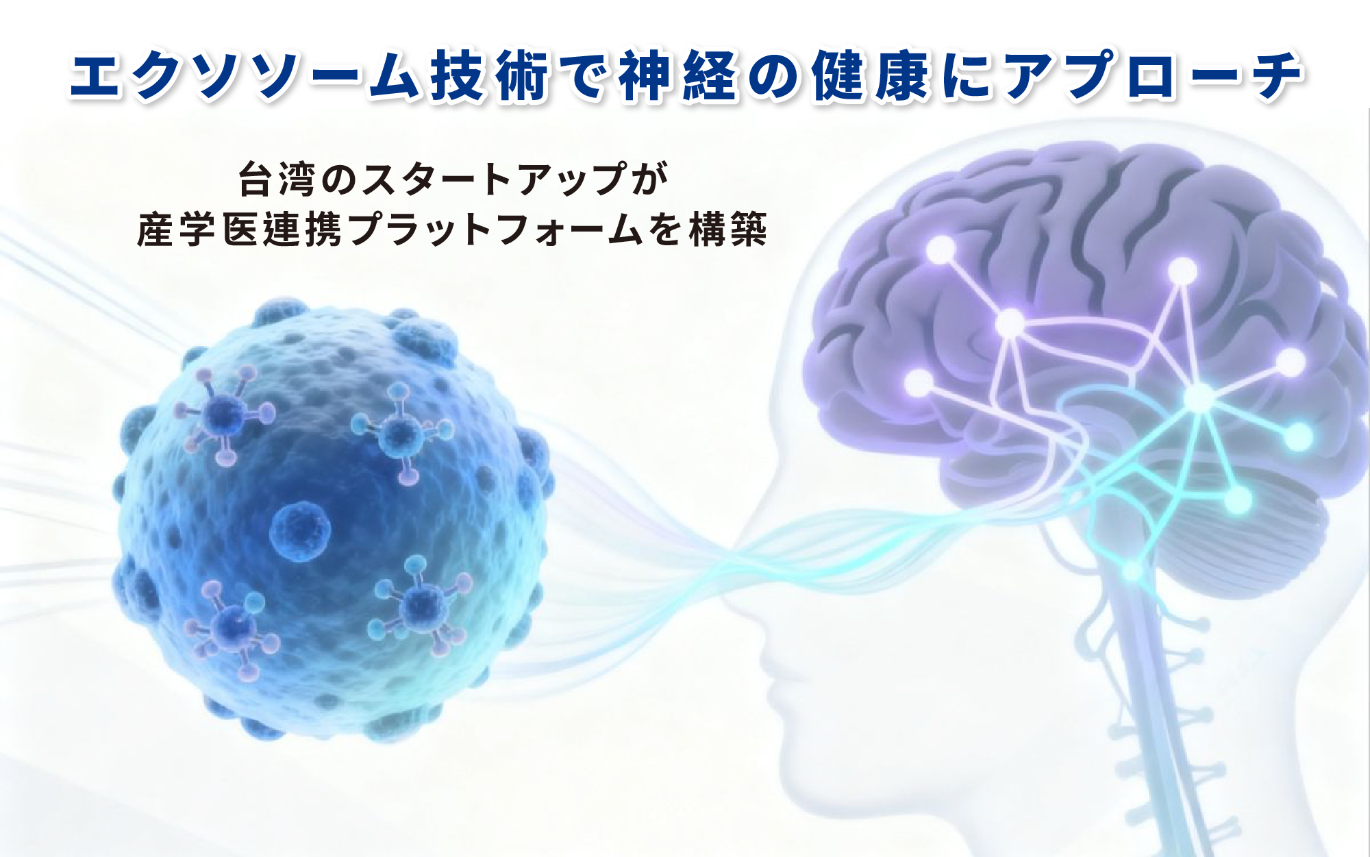 エクソソーム技術で神経の健康にアプローチ 台湾のスタートアップが産学医連携プラットフォームを構築