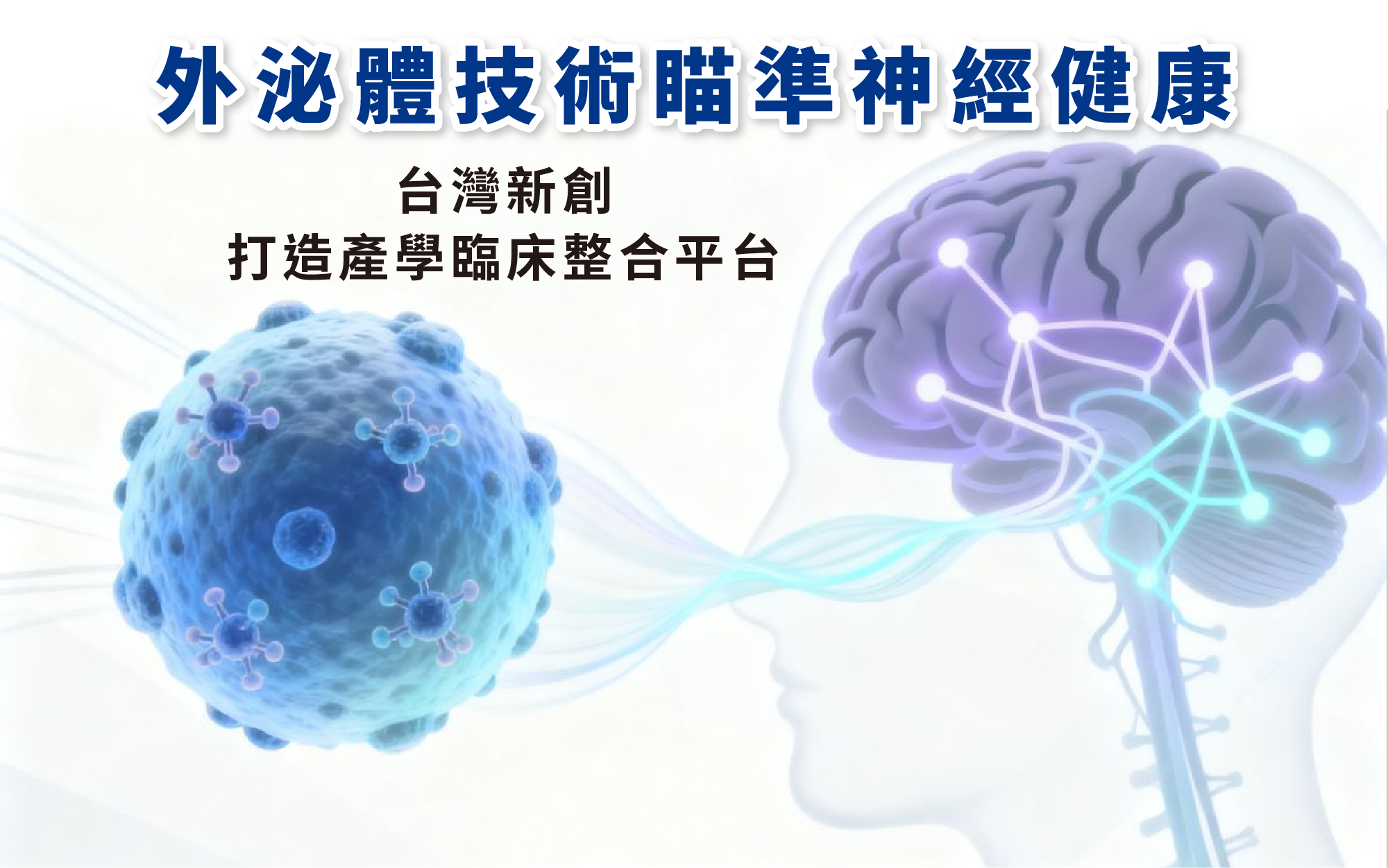 外泌體技術瞄準神經健康　台灣新創打造產學臨床整合平台