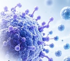 NK cell diagram
