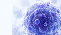 Healthy donor and NK cells
